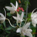 강변북로3 이미지