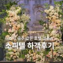 비즈 레지던스 | 소피텔호텔 하객 후기 | 축의금 천만원 낸 사람의 서울 웨딩홀 후기