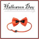 라인댄스(B) 이미지