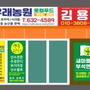뜬돌