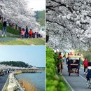 경포로 이미지