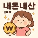 펜션연리 | 제주도 중문 숙소 추천 대형 온수 수영장이 있는 펜션 연리 내돈내산 후기🏝