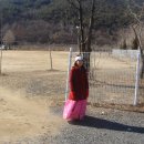 안법초등학교 이미지