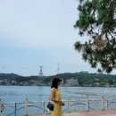 봄177 이미지