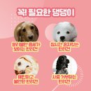 더플래 - 1042 | 더플래