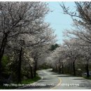 산속농장 이미지