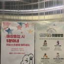 멍타벅스 광주 애견유치원 & 무인 애견카페 이미지