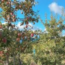 열방농장 이미지