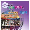 서울총학생회 주관 제23회 동숭벌 대축제& 제14회 동아리연합 잣골제 이미지