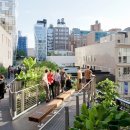 BLACK PINE RESORT 이미지