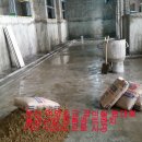 덕양초교 이미지