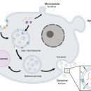 방주동물의료센터 이미지