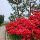 송죽가헌 이미지