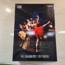 유니버설발레단 돈키호테 | 돈키호테 유니버설발레단 고양아람누리 아람극장 4층, 2층 좌석 비교 관람 후기