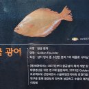 청정제주유통 이미지