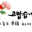 스시도감 이미지