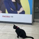 레오스터디학원 네이버블로그