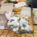 고초령 산양삼 이미지