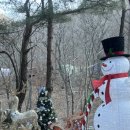 청도군-12 | 부산근교캠핑장 [청도 수리덤 캠핑장] R 명당자리 재방문 후기