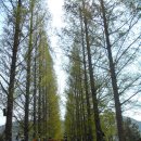 큰빛자연생태어린이집 이미지