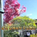 무진 펜션 이미지