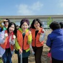 전국소년체전 대비 환경정화활동(4월24일) 이미지