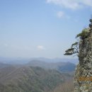 금남마을 내 이미지