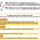 브레인스토밍