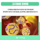 365당뇨&혈관건강센터
