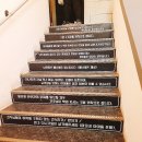 애견식단 이미지