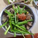 머슴국밥 이미지