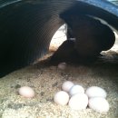 어울림농장 이미지