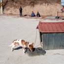 가도리 태양광발전소 이미지