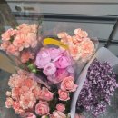 송현농장 이미지