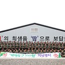 아라우 이미지