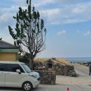 씨유 제주귀덕점 | ♥제주도 디저트 맛집 “집의기록상점” 방문 후기♥