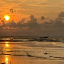 스카이드림투어 | 코타키나발루 자유여행 반딧불 투어 추천 패키지 선셋 투어 후기