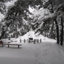 오랍드리 이미지