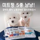펫21 (Pet21) | 노령견화식부터 저알러지까지 페노비스 미트팡 5종 비교 후기