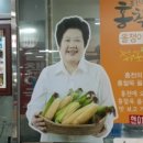 대운올챙이 이미지