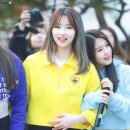 로하 이미지