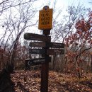 우면산3-29 이미지