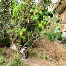 뉴페이스PC방 이미지