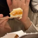 작은극장돌체 | 혼자 후쿠오카 여행 신신라멘, 캐널시티 분수쇼, 이치후지 모츠나베, 돈키호테 다이코쿠 쇼핑