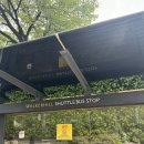 행복초등학교 버스승강장 옆 | [서울 광진구] 워커힐 더글라스 스위트룸 내돈내산 후기 / 워커힐 셔틀버스 / 워커힐 어메니티