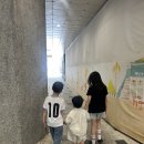 스카이 | 천안 키즈카페 추천 볼베어파크 천안점 솔직후기 (기차·스카이볼·보물찾기까지)