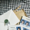 알로하이 이미지