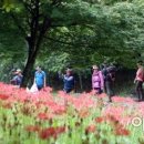 샴푸노래마을 이미지