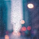Rhythm of the Rain (The Cascades) 가사 한 줄 한 줄 심층 해석: 비가 전하는 상실의 아픔과 잃어버린...
