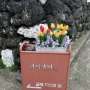 길목펜션민박 | 제주도 동네 하늘 예쁜 민박 숙소 라이앤미:)
